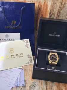 AP Mechanical Watch-030