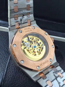 AP Mechanical Watch-019