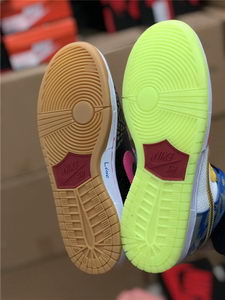 Nike Dunk SB “what the DB”