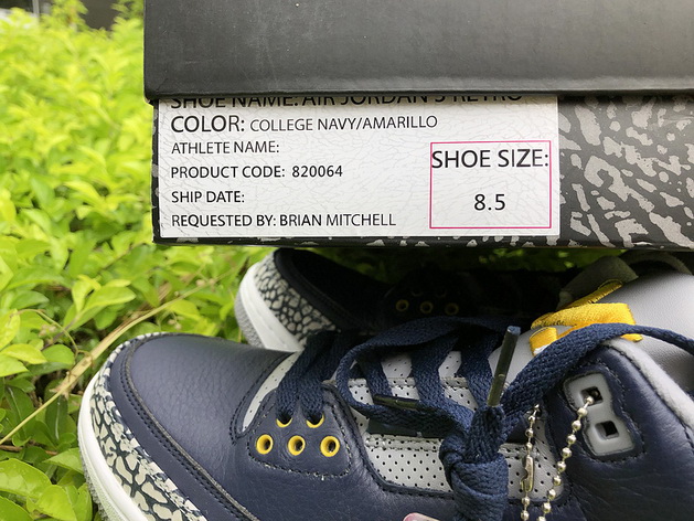 Air Jordan 3 Michigan PE