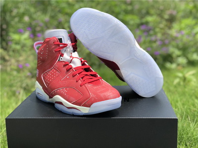 Air Jordan 6 “Slam Dunk”