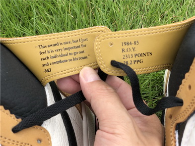 Air Jordan 1  “Rookie of the Year “