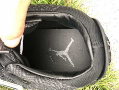 Air Jordan 3 Flyknit