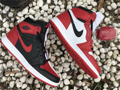 Air jordan 1 “Homage To Home” (women)