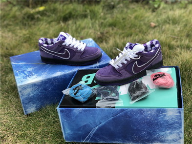 Nike Dunk SB(women)-001