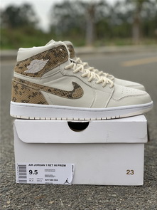 Air Jordan 1 Hi Premium