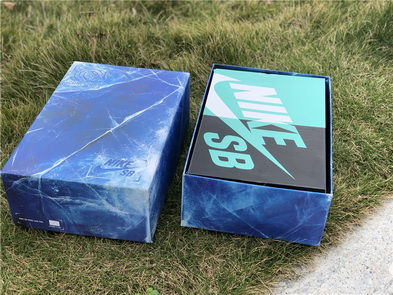 Nike Dunk SB(women)-001
