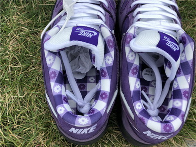 Nike Dunk SB(women)-001