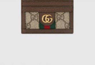 G*u*i card holder(aaa)-009