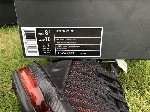 Authentci Lebron XVI LMTD EP-005