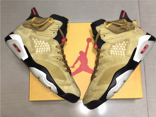 Air Jordan 6 x TS
