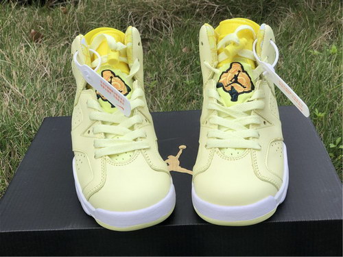 Air Jordan 6 GS “Floral”