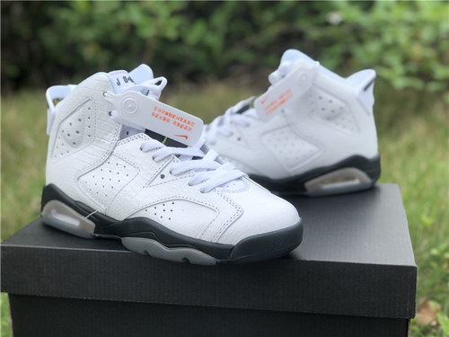 Air Jordan 6 GS “Alligator”