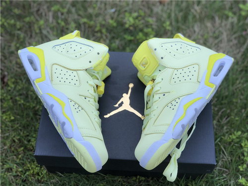 Air Jordan 6 GS “Floral”