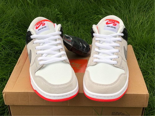 Nike Dunk SB Low Pro ISO