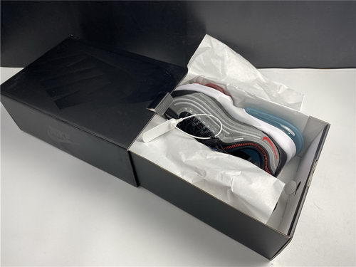Authentic Air Max 950
