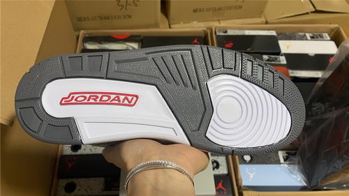 Air Jordan 3``Cool Gray