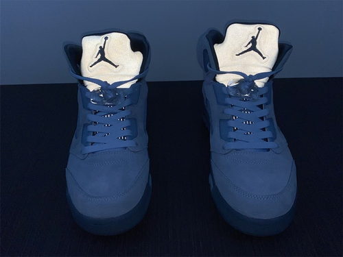 Air Jordan 5  “Bluebird”
