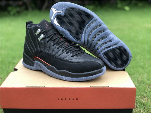 Air Jordan 12-020