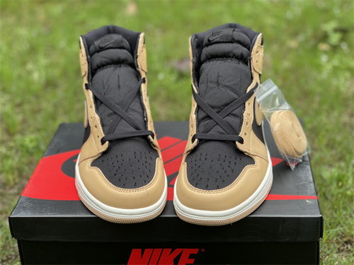 Air Jordan 1 High OG-100