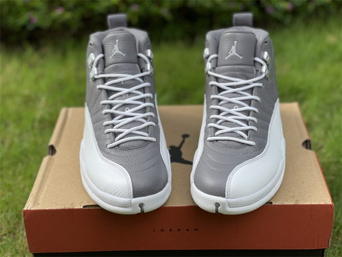 Air Jordan 12-018