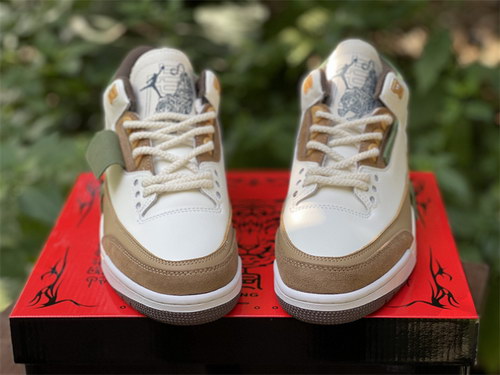 Air Jordan 3 SE Denim Tiger