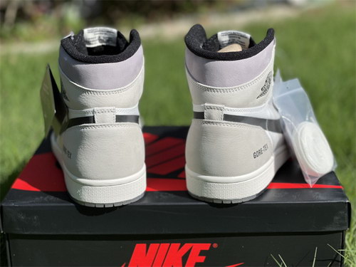 Air Jordan 1 Element&Gore-Tex “Light Bone”