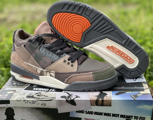 Air Jordan 3 “Camo”