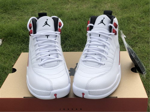 Air Jordan 12“Twist”