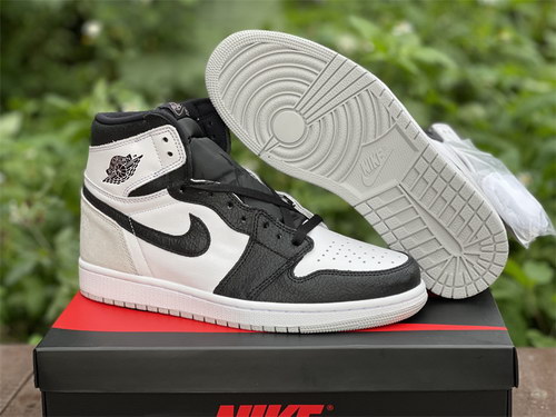 Air Jordan 1 High-101