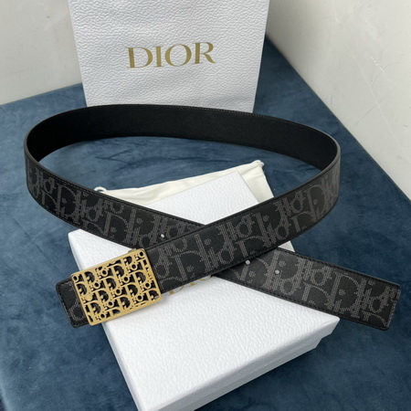 D*or belts(aaaaa)-110