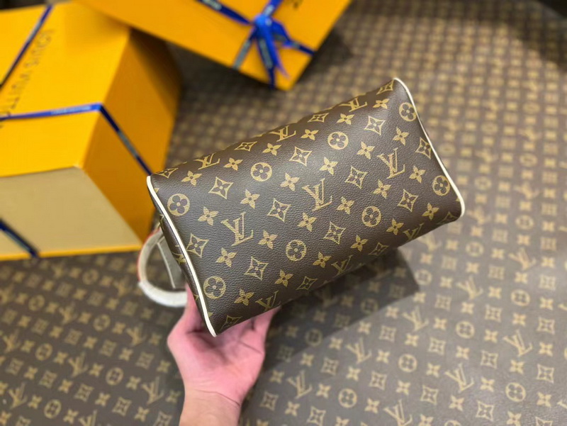LV Small bags(AAA)-011