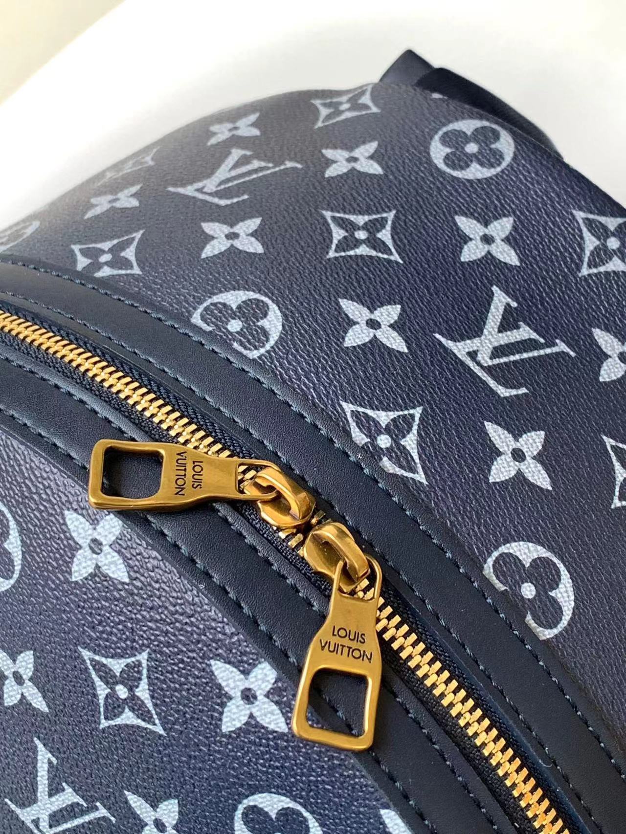 LV Backpack(AAAA)-077