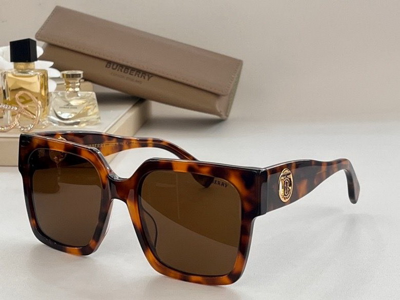 B**rry sunglasses(aaaa)-904