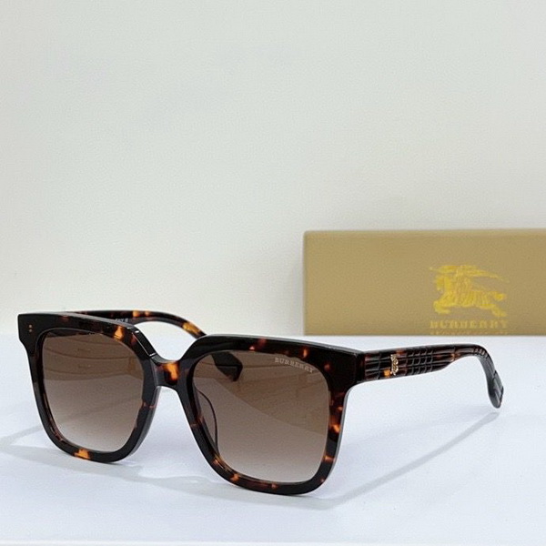 B**rry sunglasses(aaaa)-888