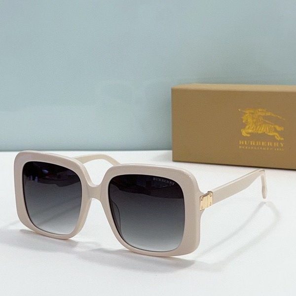 B**rry sunglasses(aaaa)-877