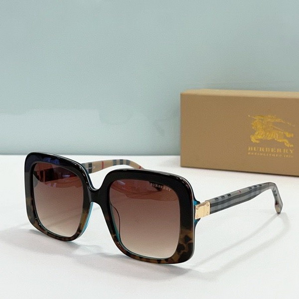 B**rry sunglasses(aaaa)-875