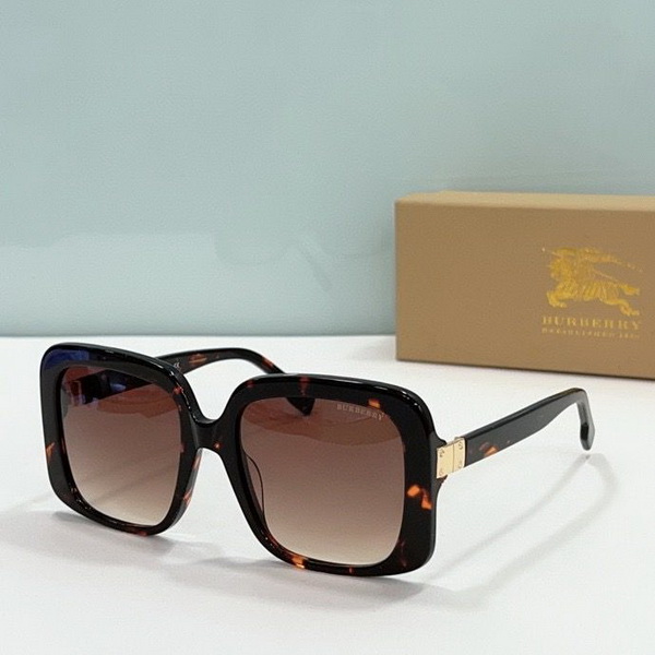 B**rry sunglasses(aaaa)-873