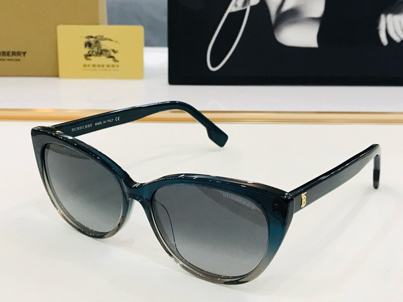 B**rry sunglasses(aaaa)-858