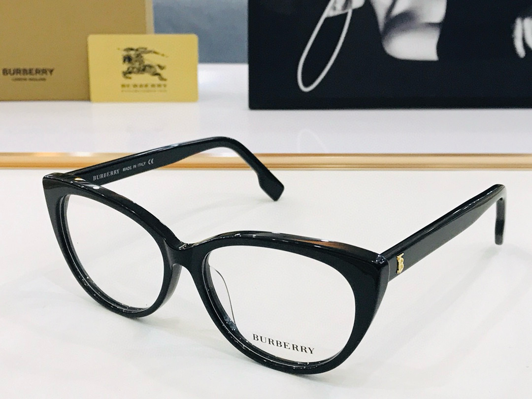 B**rry sunglasses(aaaa)-483