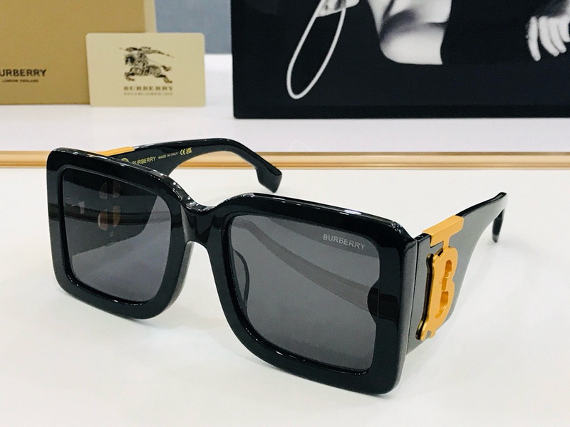 B**rry sunglasses(aaaa)-859