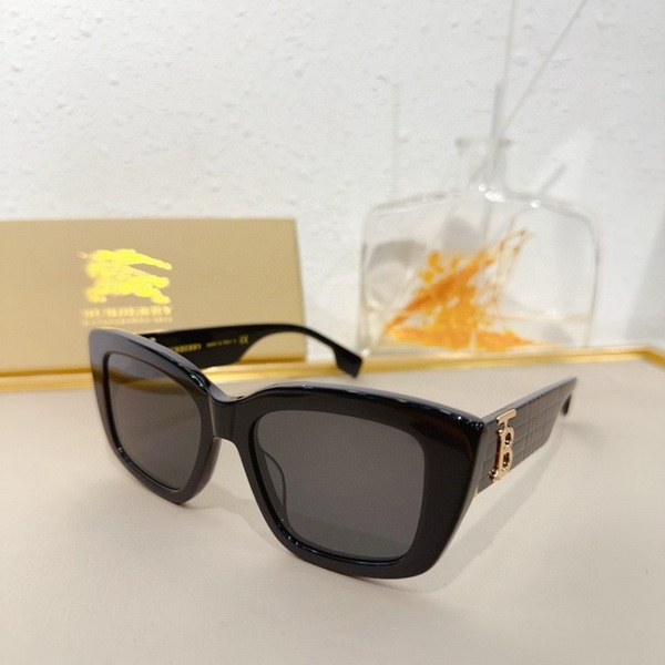B**rry sunglasses(aaaa)-852