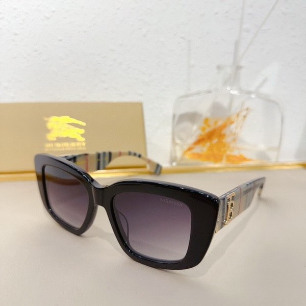 B**rry sunglasses(aaaa)-851
