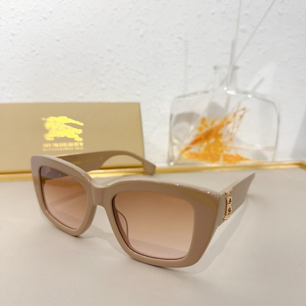 B**rry sunglasses(aaaa)-849