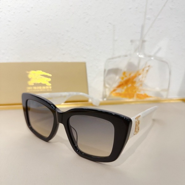 B**rry sunglasses(aaaa)-848