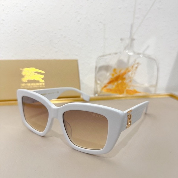 B**rry sunglasses(aaaa)-847