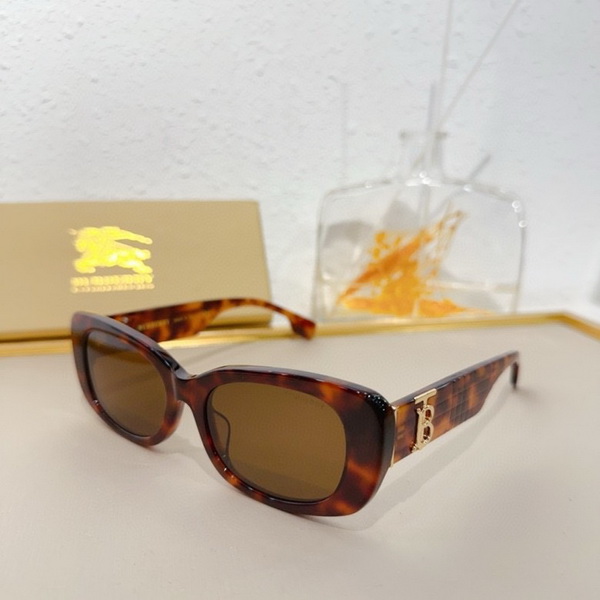 B**rry sunglasses(aaaa)-844