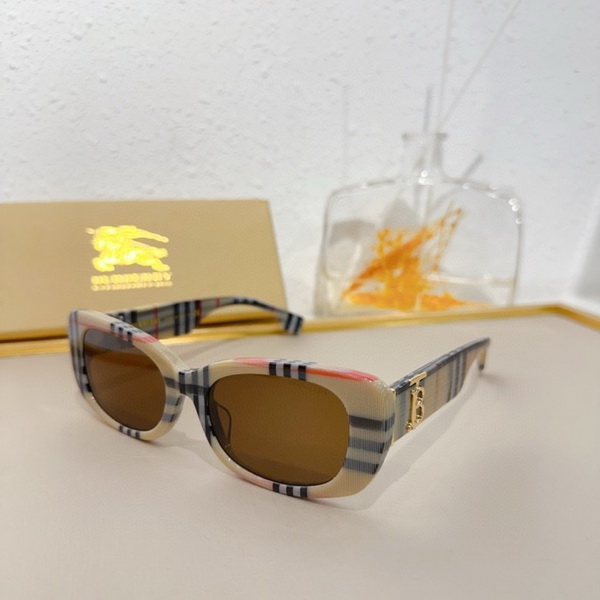 B**rry sunglasses(aaaa)-843