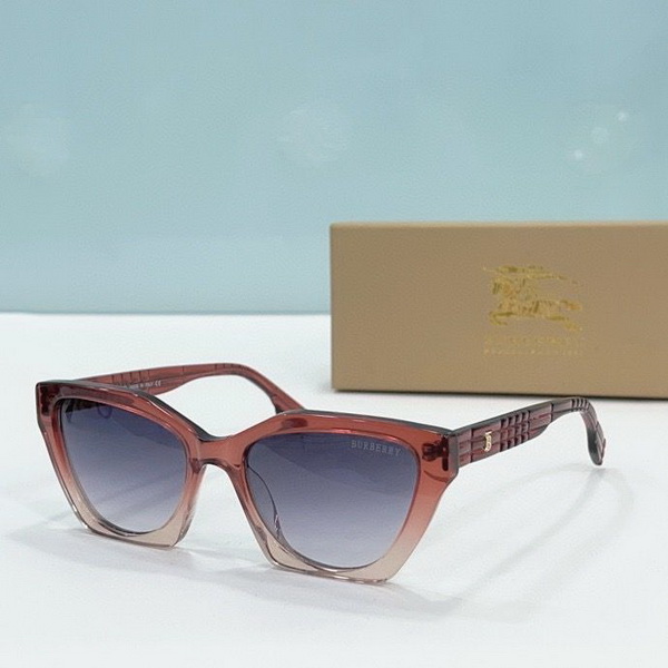B**rry sunglasses(aaaa)-838