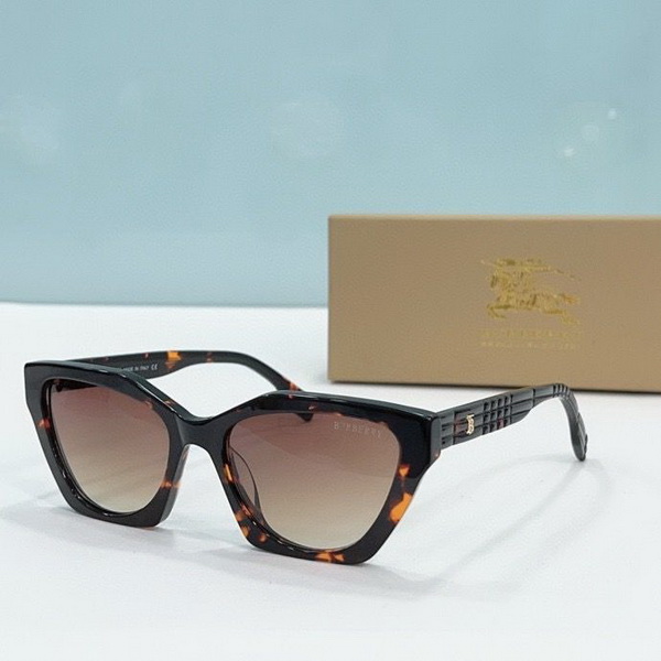 B**rry sunglasses(aaaa)-835